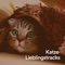 Musik für das Schnurren der Katze artwork