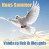 Vandaag Heb Ik Vleugels - Single