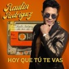 Hoy Que Tu Te Vas - Single