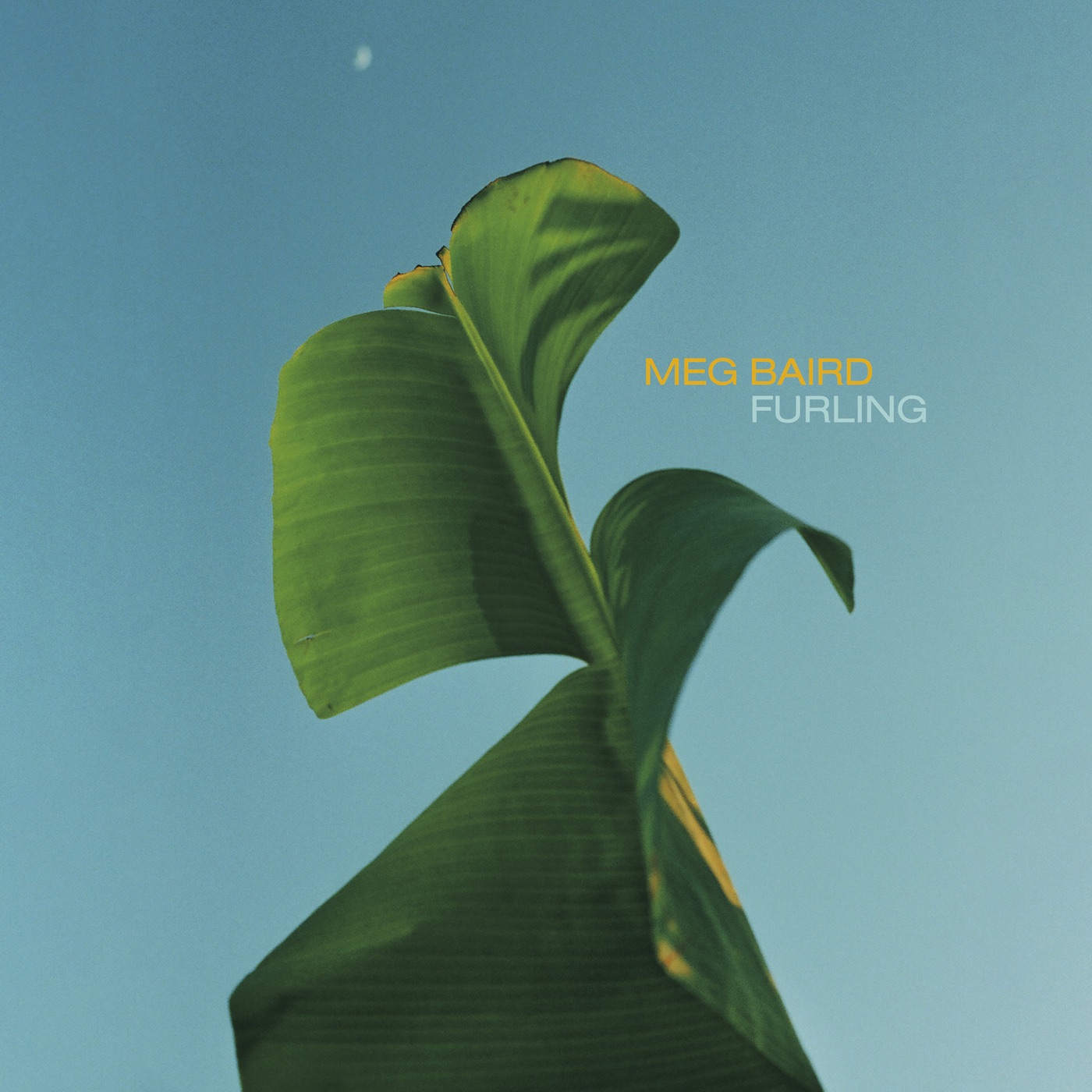 Furling by Meg Baird