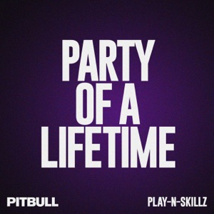 Pitbull & Play-N-Skillz - Party of a Lifetime - 排舞 音乐