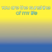 You Are the Sunshine of My Life artwork