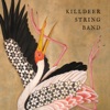 Killdeer String Band, 2017