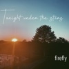 Tonight Under the Stars