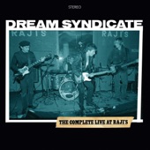 The Dream Syndicate - See That My Grave Is Kept Clean (Live)