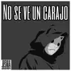 Stream & download No Se Ve un Carajo - Single