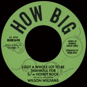 Wilson Williams - I Got a Whole Lot To Be Thankful For