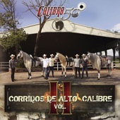 Corridos De Alto Calibre (Vol. II) artwork