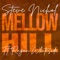 Mellow Hill (feat. Ragan Whiteside) - Steve Nichol lyrics