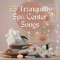 Tranquility Spa Center - Nora Lewis lyrics