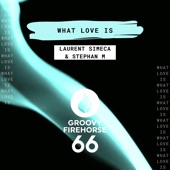 What Love Is (Extended Mix) artwork
