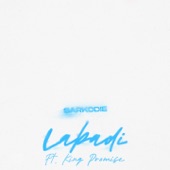 Labadi (feat. King Promise) artwork