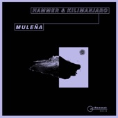 Hammer - Muleña (Original Mix)