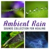 Ambient Rain Sounds Collection for Healing – 50 Tracks for Deep Sleep, Harmony with Nature, Calming Ocean Waves, Meditation for Well Being