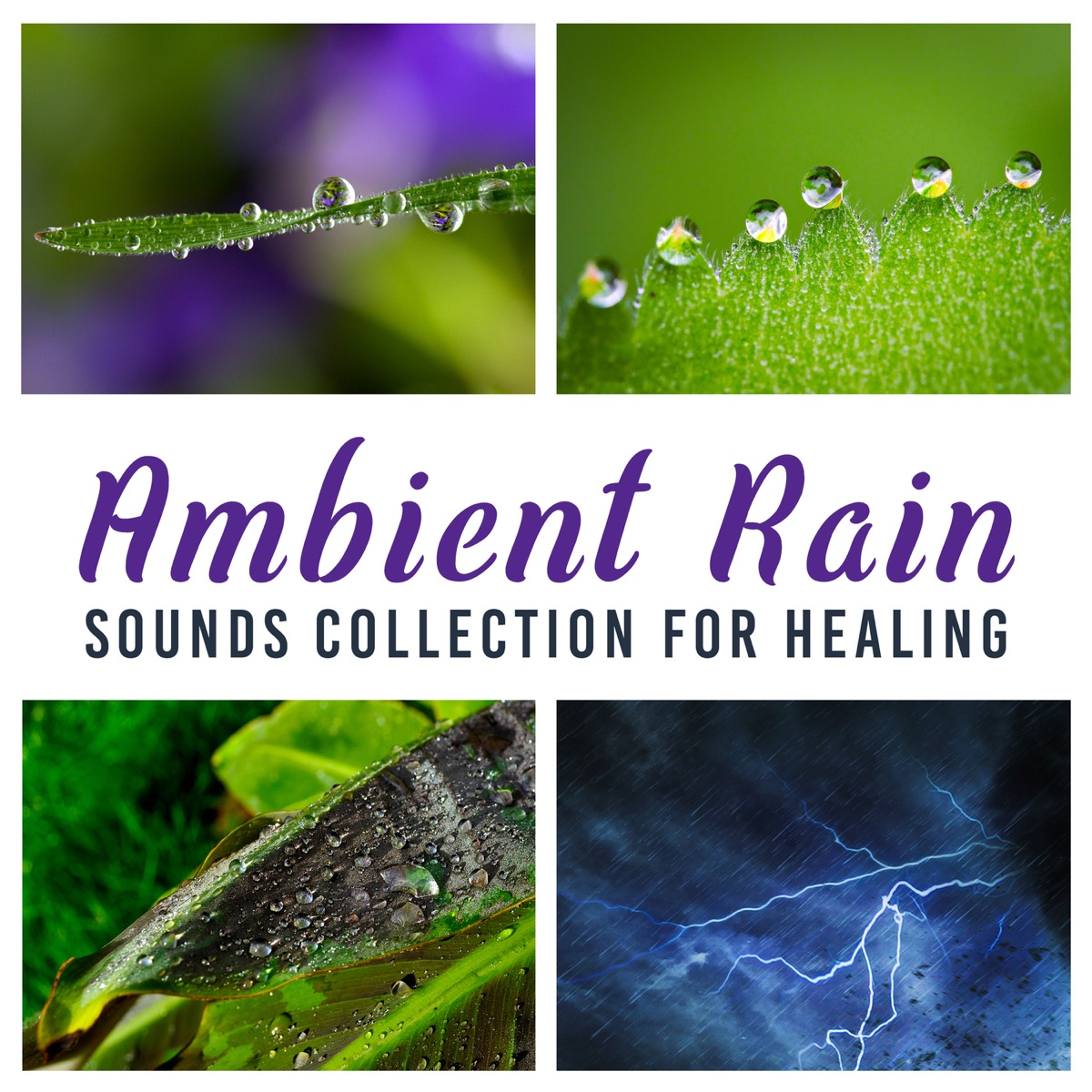 Rain Sounds for Sleeping: Best Selection of Relaxing Background Music,  Gentle Night Rain for Insomnia, Meditation, Peace, Spa, Yoga by Healing Rain  Sound Academy on Apple Music