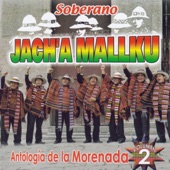 Selección de Morenadas IV: Umaleñita / Delina / Teresita artwork