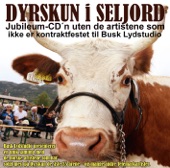 Dyrskun i Seljord Jubileum-CD