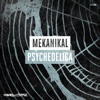 Psychedelica - Single