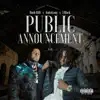Public Announcement - Single album lyrics, reviews, download