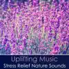 Uplifting Music: Stress Relief Nature Sounds, Proven Reduce Stress Hormones, Healing & Repairing Sounds album lyrics, reviews, download
