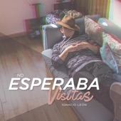 No Esperaba Visitas artwork