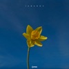 Narcissus - Single
