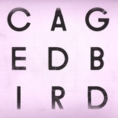 A Caged Bird/Imitations of Life