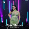 Djali i Kosovës - Single