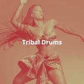 Tribal Adventures (60S) artwork