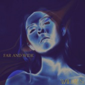 Far and Wide artwork