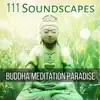111 Soundscapes: Buddha Meditation Paradise - Relaxing Mindfulness, Zen Hypnotic Music, Heal Imbalances with Pure Nature Sounds, Tantric Yoga, Think Positive to Energize Your Life album lyrics, reviews, download