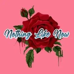Nothing Like Now - Single by Infamous Beats Instrumentals album reviews, ratings, credits