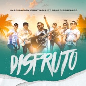 Disfruto (feat. Grupo Respaldo) artwork