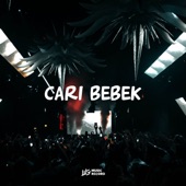 CARI BEBEK (Instrumental) artwork