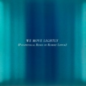 We Move Lightly (feat. Robert Lippok) [Pataphysical Remix] artwork