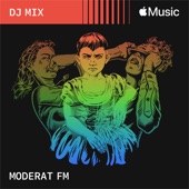 MODERAT FM (DJ Mix) artwork