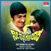 NEE NANNA GELLALARE (Original Motion Soundtrack) - EP