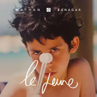 baixar álbum Nathan Zanagar - Le Jeune