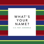 What's Your Name? (feat. Daramola) artwork