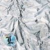 (L) [Deluxe]