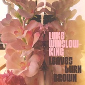 Luke Winslow-King - Leaves Turn Brown (None)