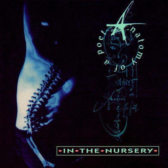 Cover artwork for In Perpetuum