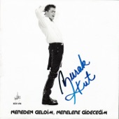 Nerelere Gideceğim artwork