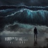 The Flood - Single