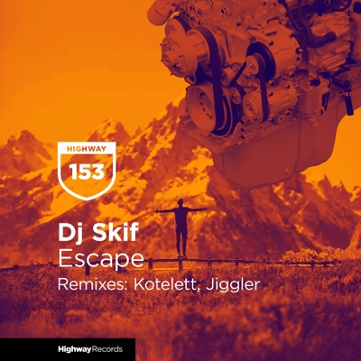 Would you go dj skif remix