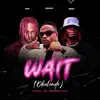 Wait (feat. CKay & Obidiz) - Single album lyrics, reviews, download
