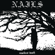 Unsilent Death - Nails