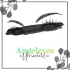 Xunreachablee - Angeleyes (from "ABBA")