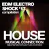 EDM Electro Shock '17 album cover