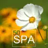 50 Spa Music - Music Therapy for Spa Massage, Deep Relaxation, Meditation, Tranquility, Serenity and Healing Sounds of Nature album lyrics, reviews, download